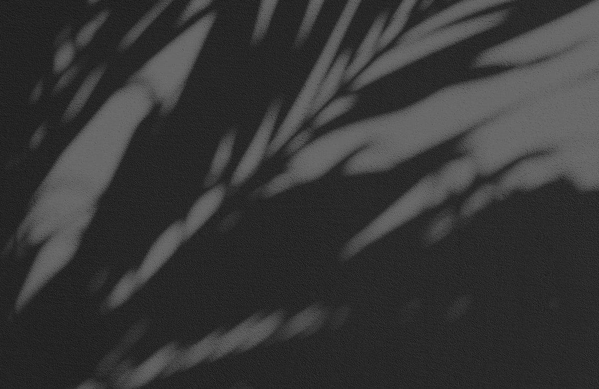 Plant shadows