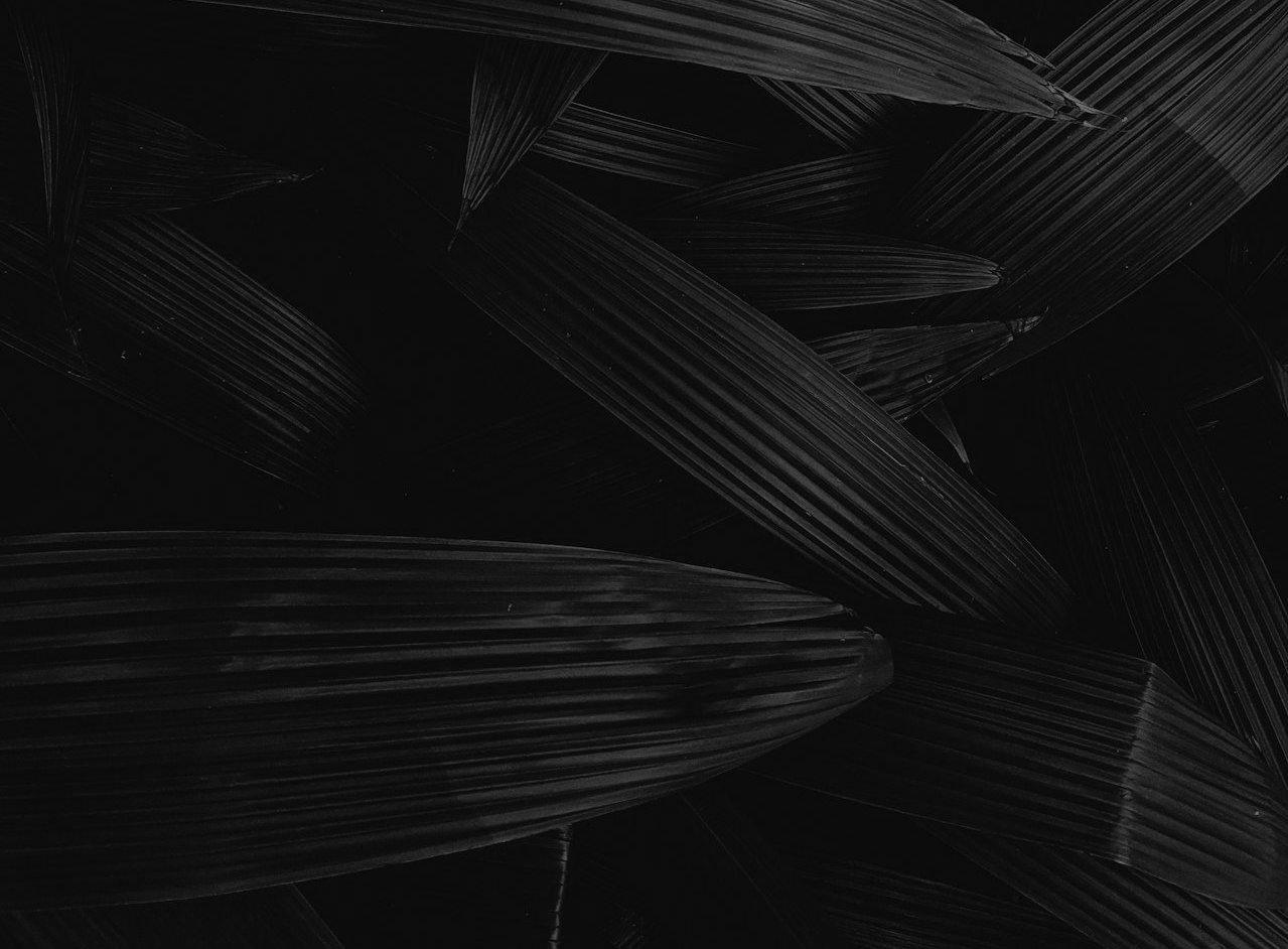 Dark plants